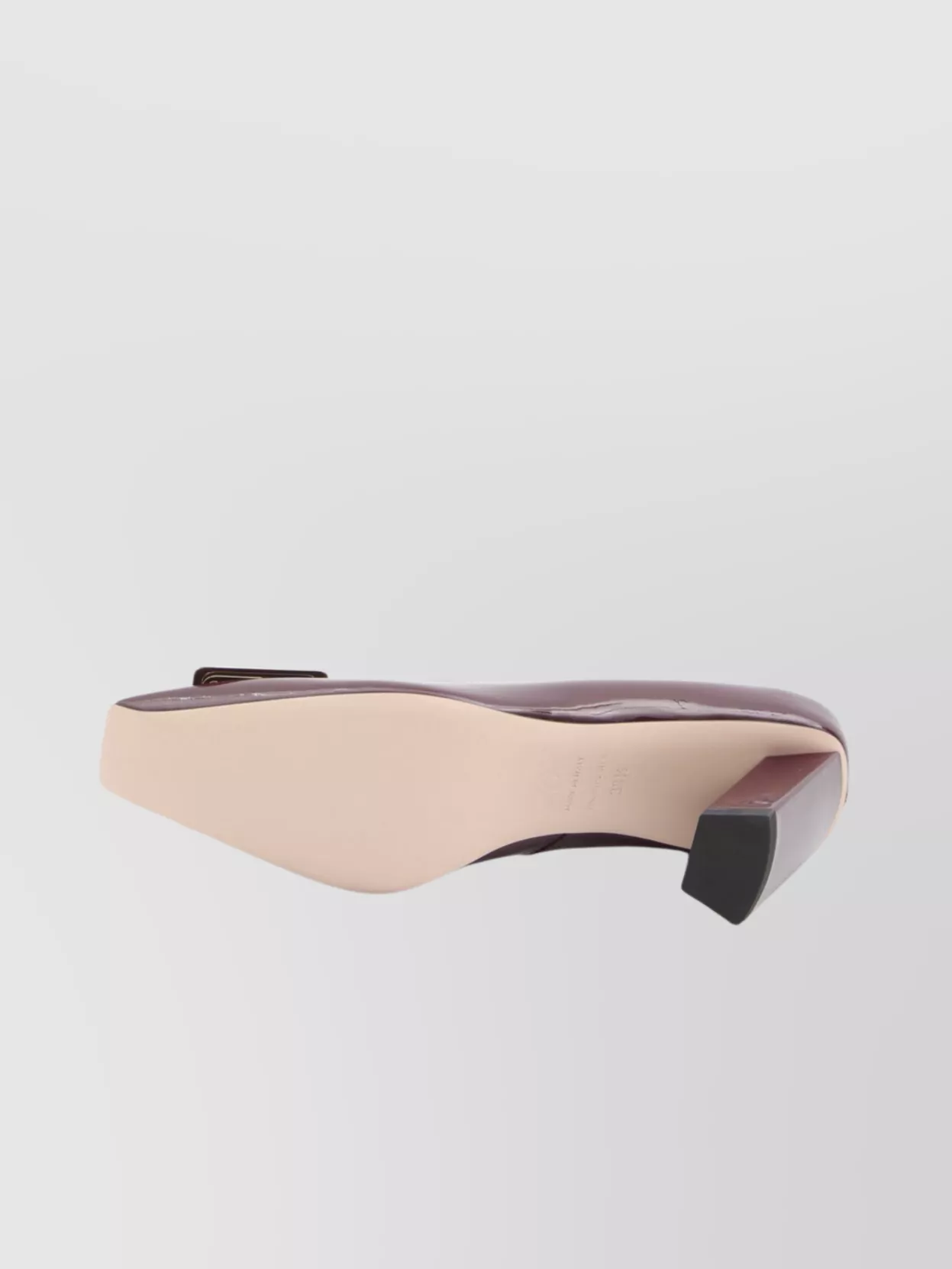 Roger Vivier Buckle Detail Block Heel Pumps