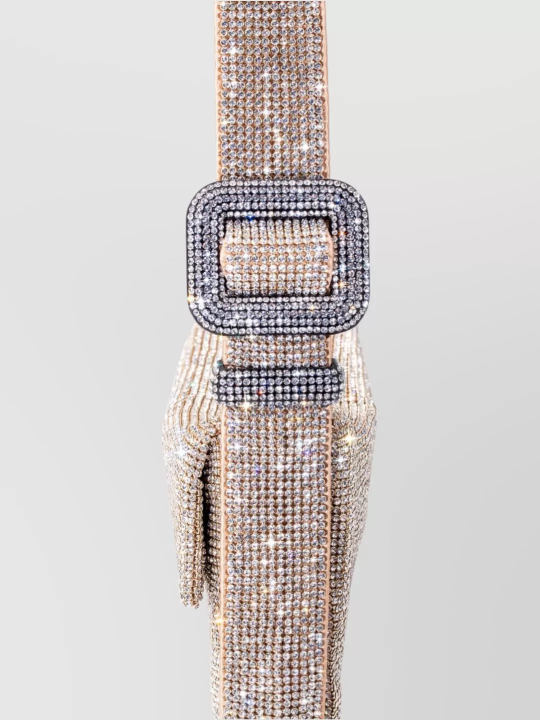 Benedetta Bruzziches Sparkling Strap Clutch Bag