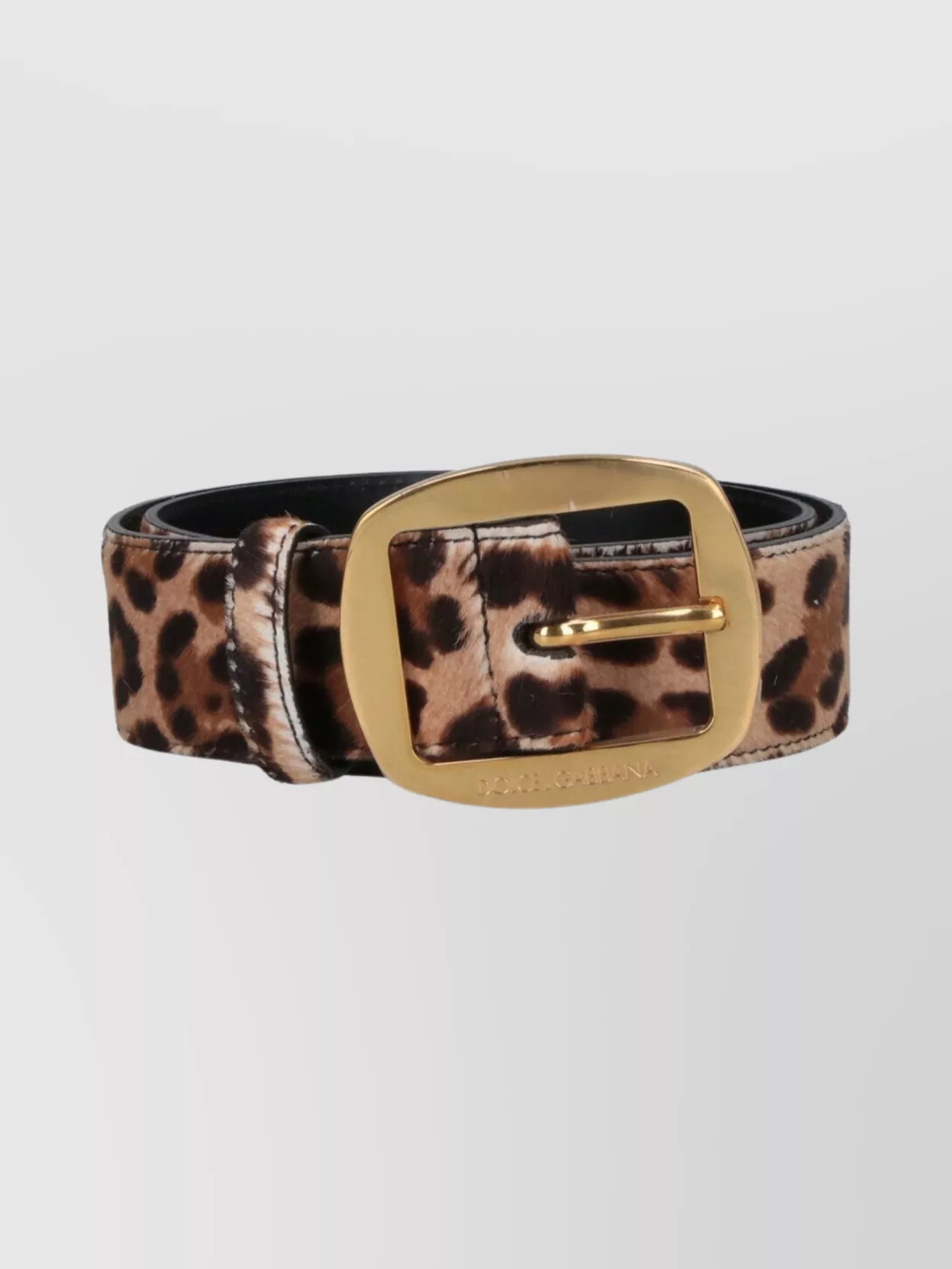 Dolce & Gabbana Animal Print Adjustable Belt With Gold Buckle In Animal Print