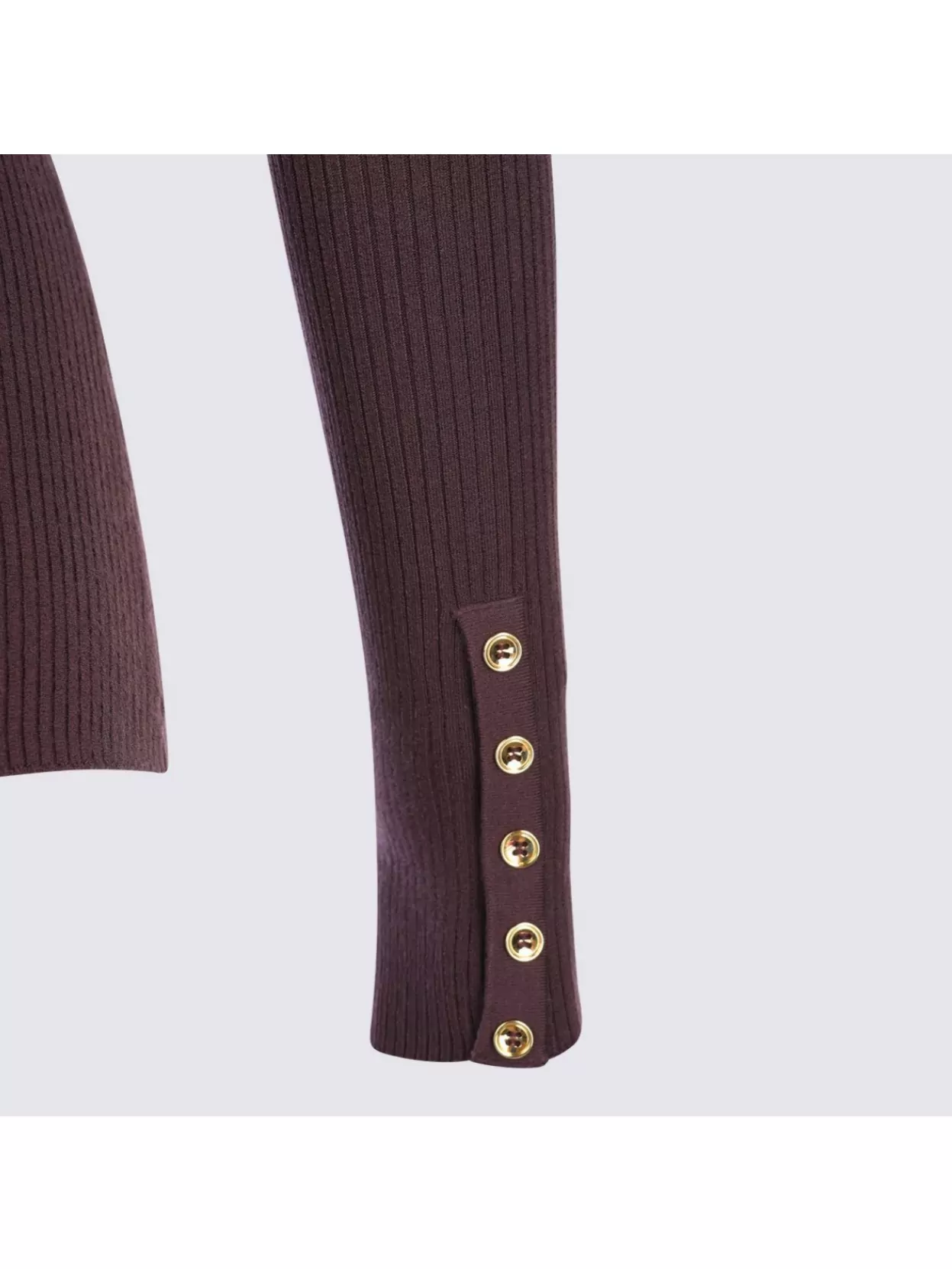 Elisabetta Franchi Ribbed Turtleneck Gold-Tone Hardware