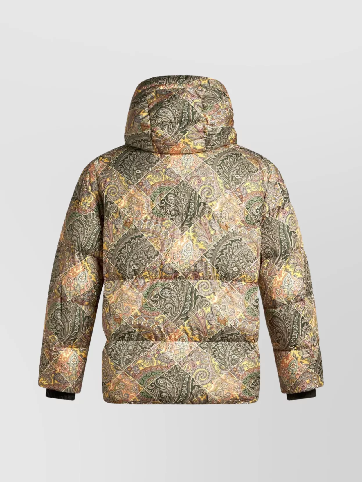Etro Puffer Jacket With Hooded Paisley Print