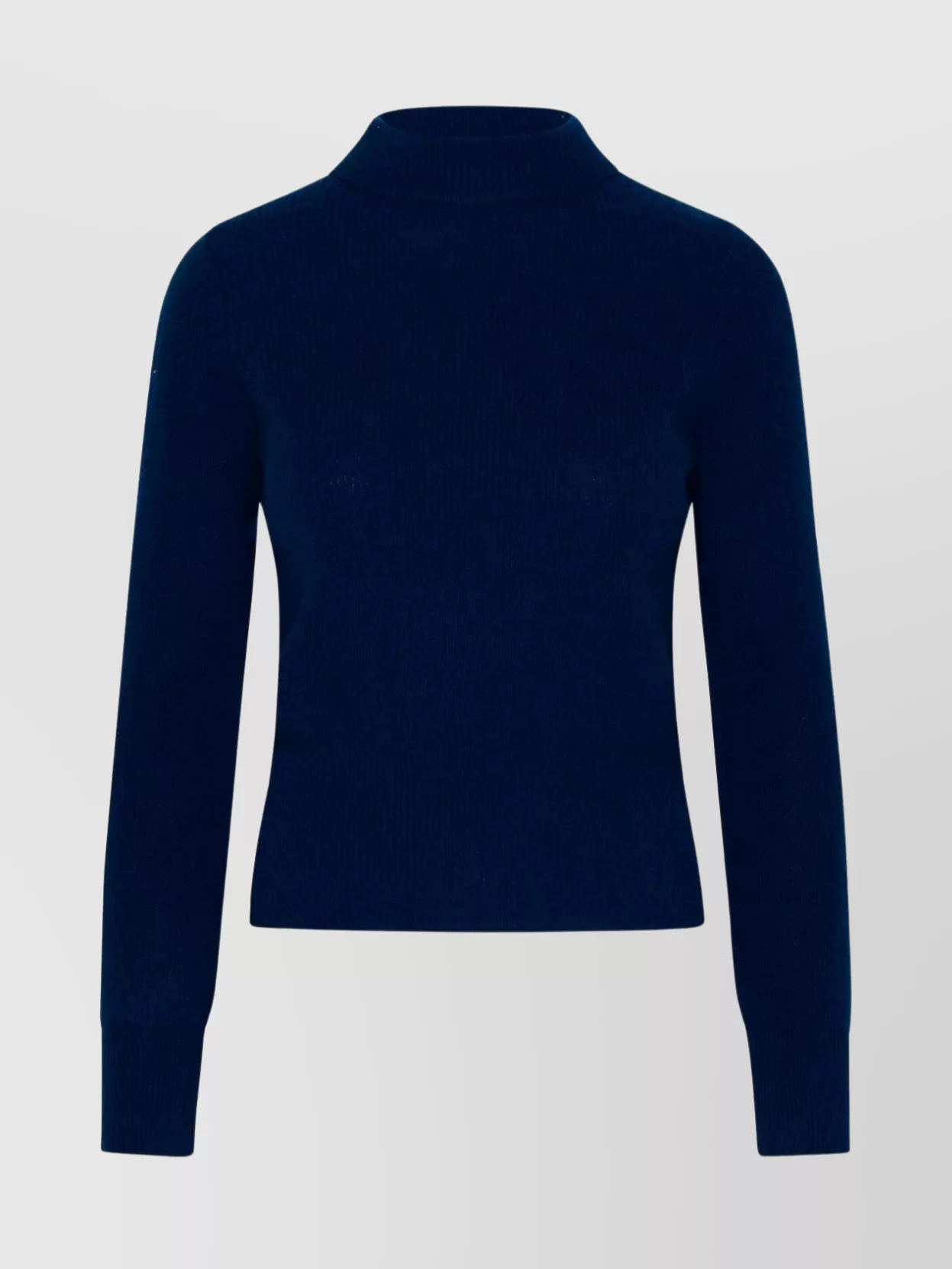 Brodie Cashmere Fringed Ribbed Turtleneck Knitwear In Blue