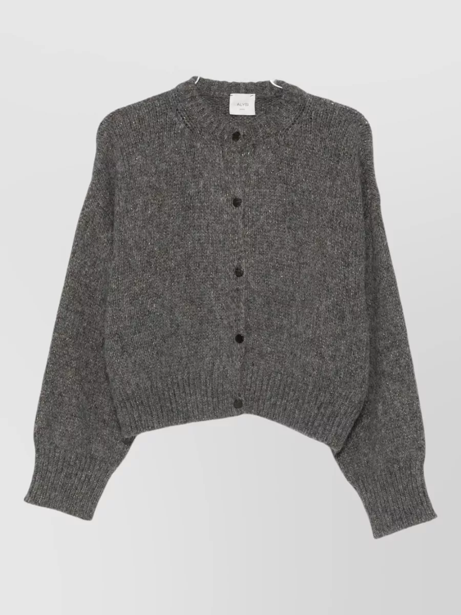 Alysi Crewneck Long-Sleeve Cardigan