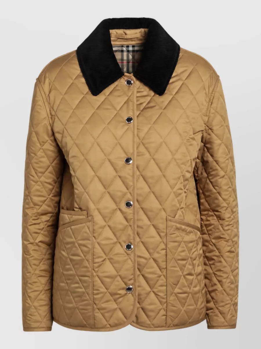 Burberry fitted jacket