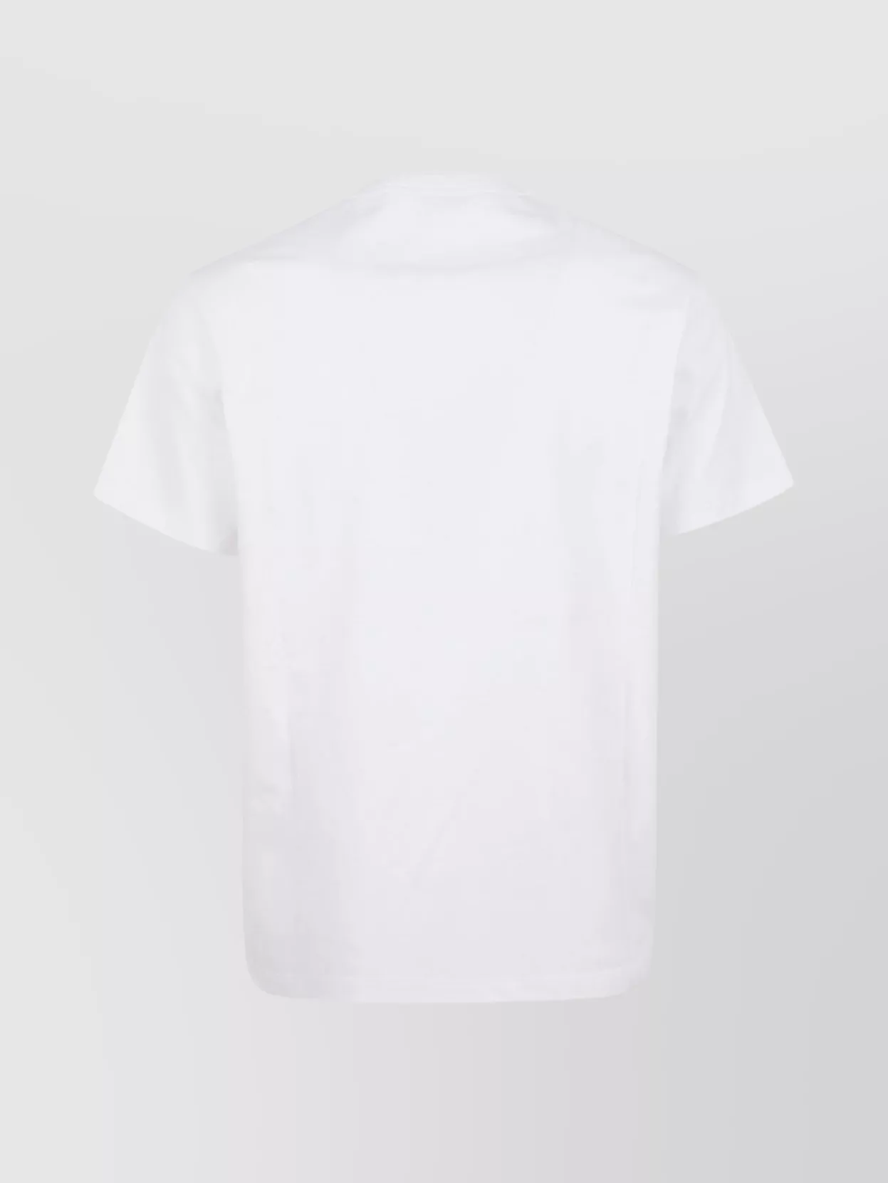 Alexander Mcqueen Crew Neck Graphic Print T-shirt Skull In White