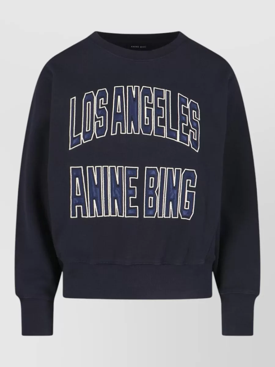 Anine Bing sweatshirt