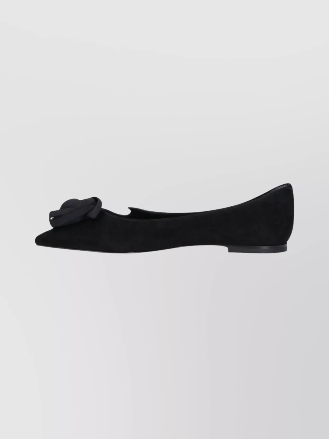Roger Vivier Floral Pointed Toe Flat Sole Ballerina Shoes