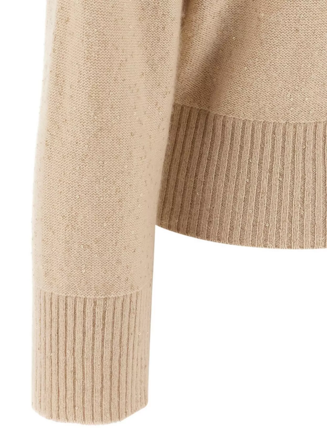 Fabiana Filippi Turtleneck Sweater Featuring Sequin Detail