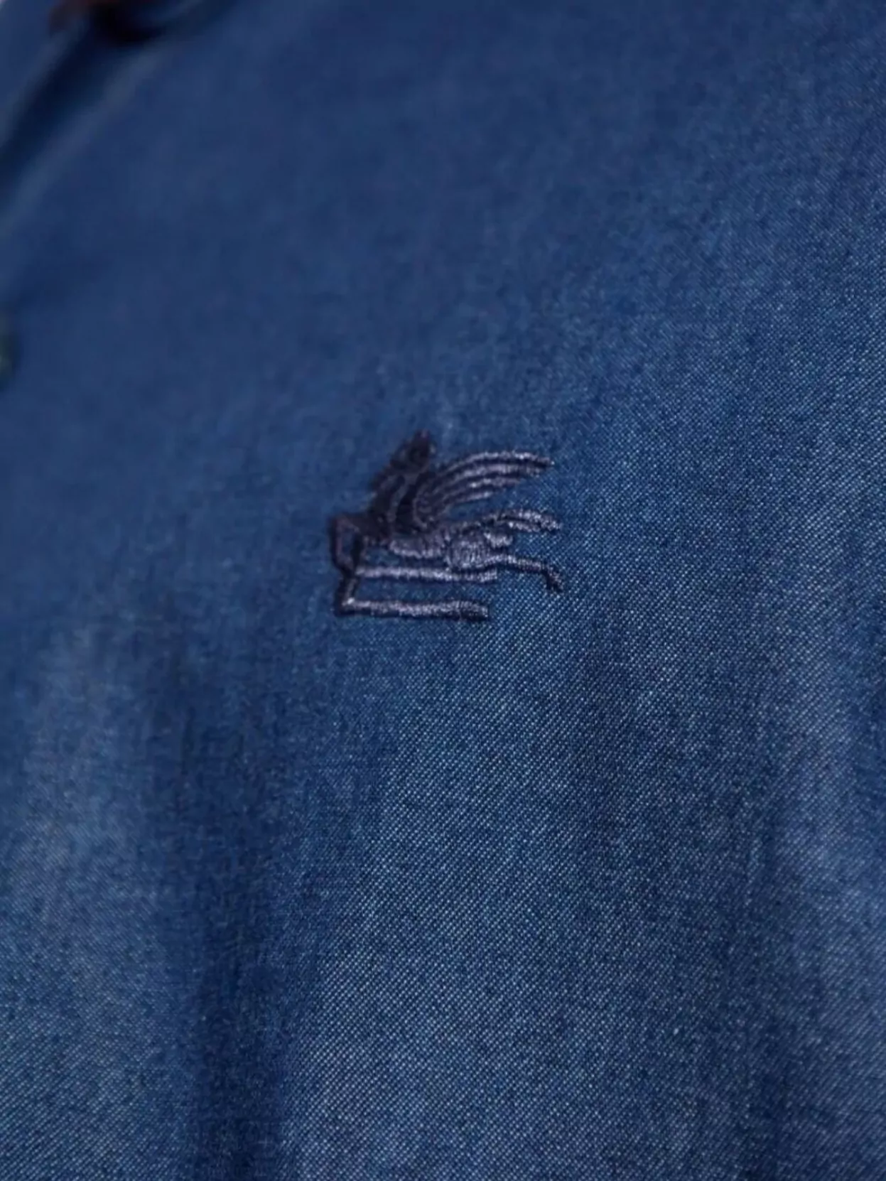 Etro Embroidered Logo Cotton Shirt
