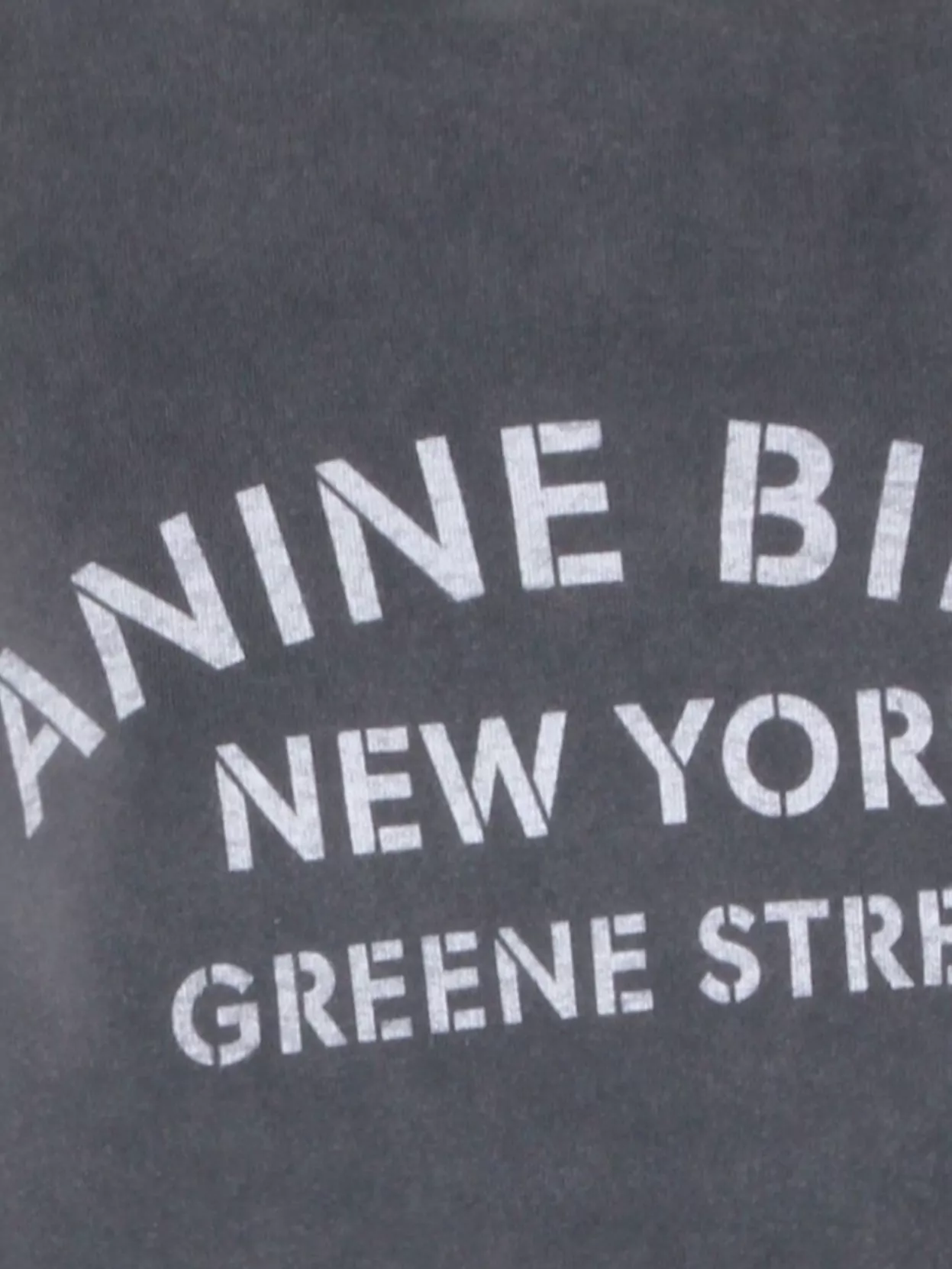 Anine Bing Printed Crew Neck Long Sleeve Sweatshirt