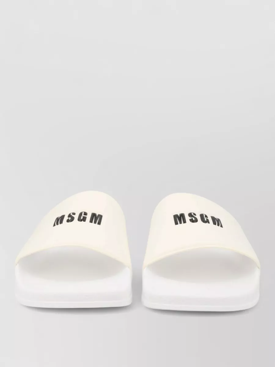 Msgm Logo Slides