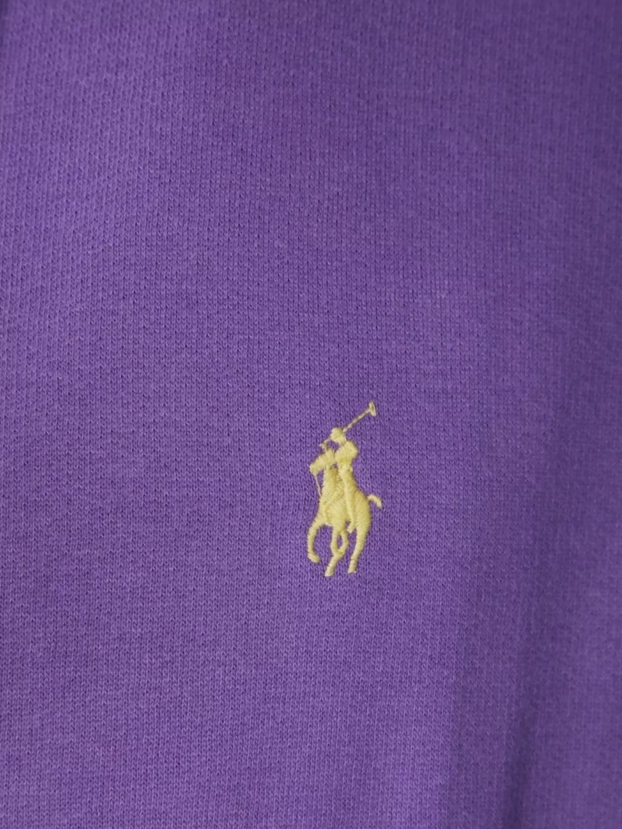 Polo Ralph Lauren Hooded Sweatshirt With Drawstring And Kangaroo Pocket In Purple