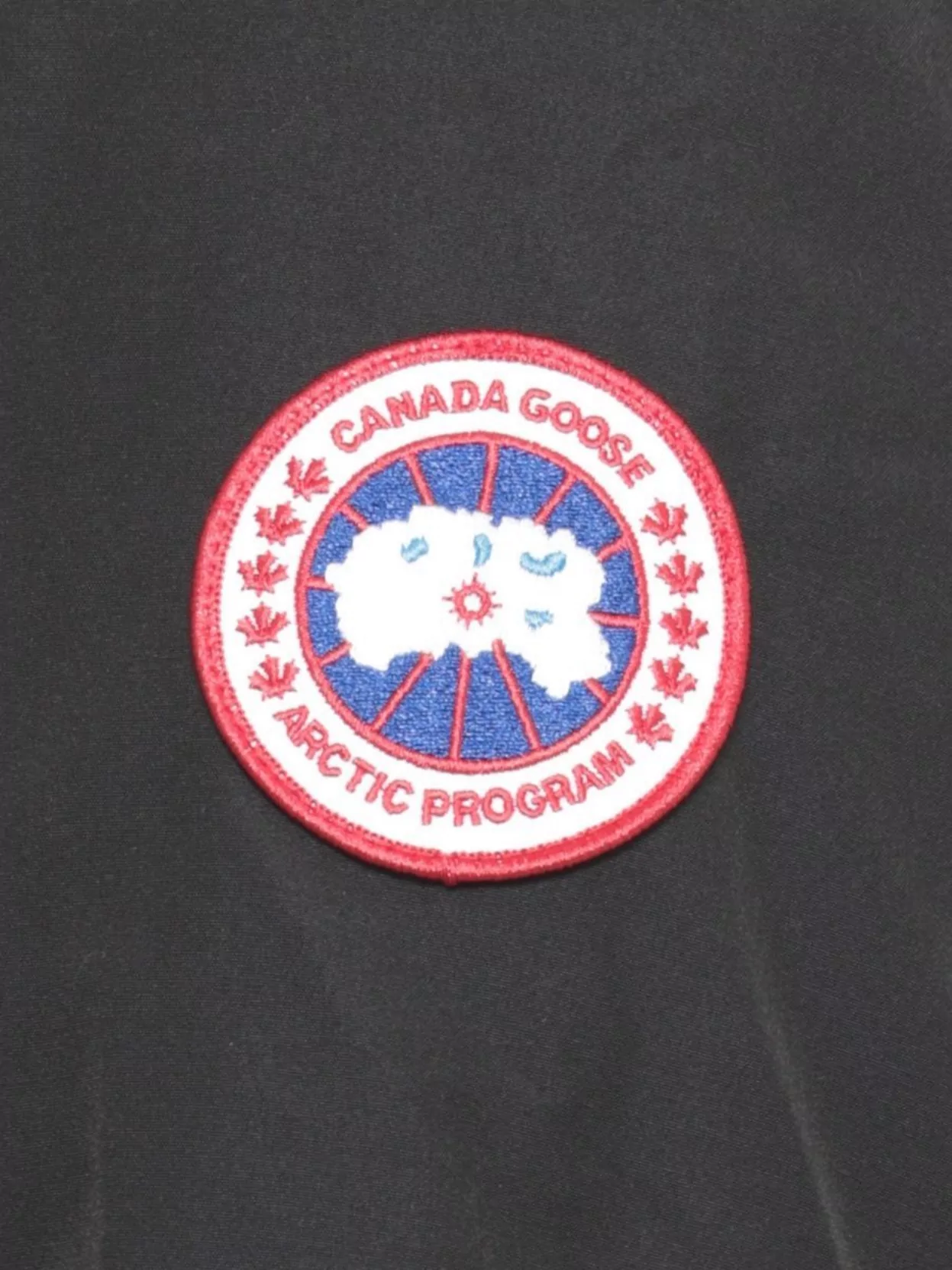 Canada Goose Leslie Parka In Blue