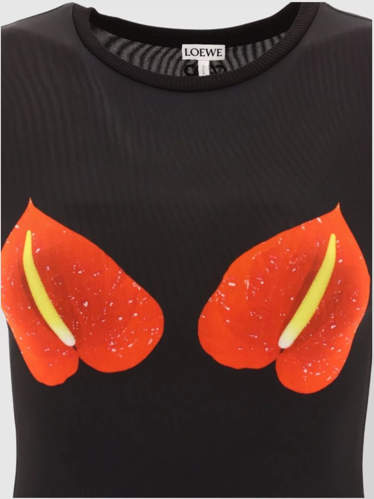Loewe Floral Print Long Sleeve Sheer Top