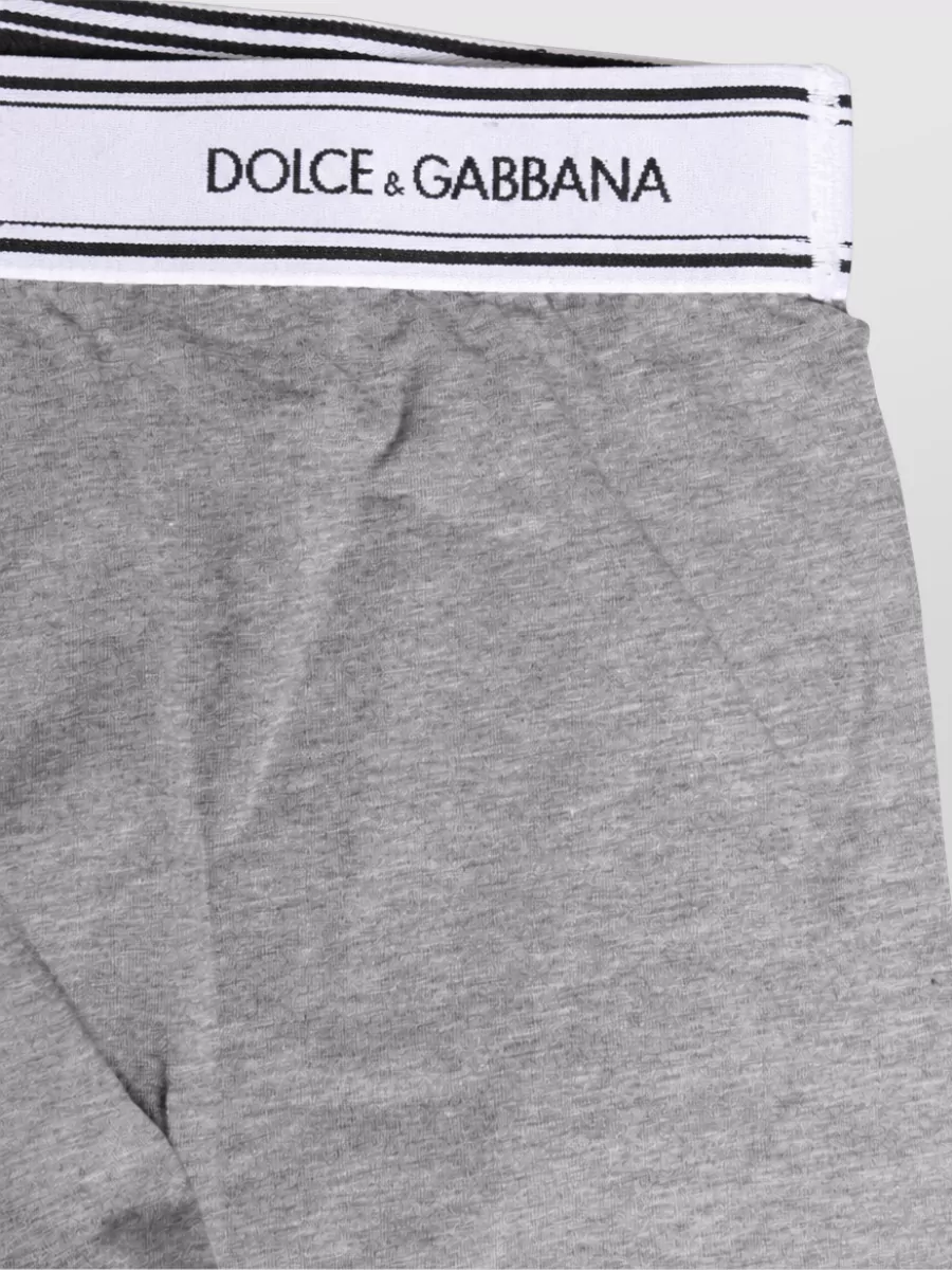 Dolce&Gabbana Logo Waistband Boxer Briefs