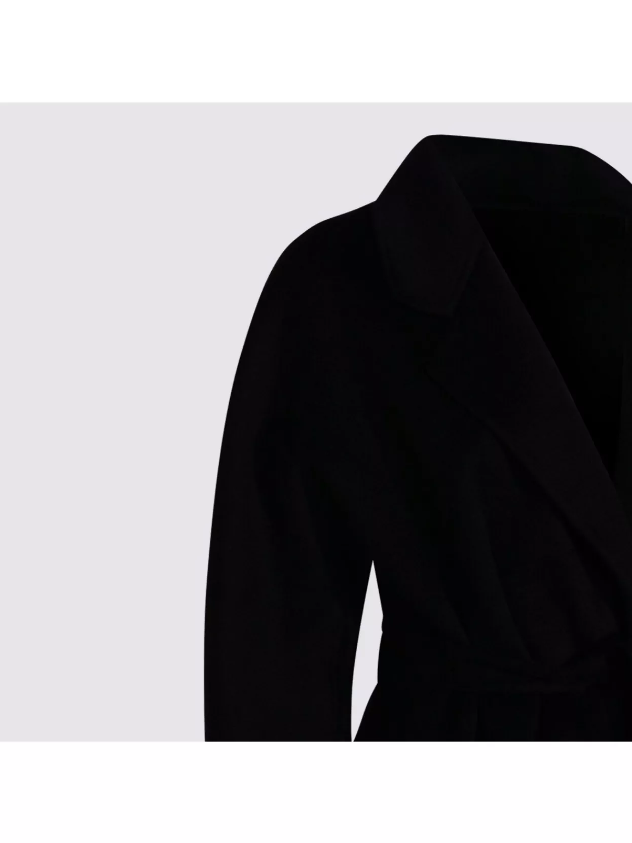 Elisabetta Franchi Tailored Coat With Belted Waist And Long Sleeves