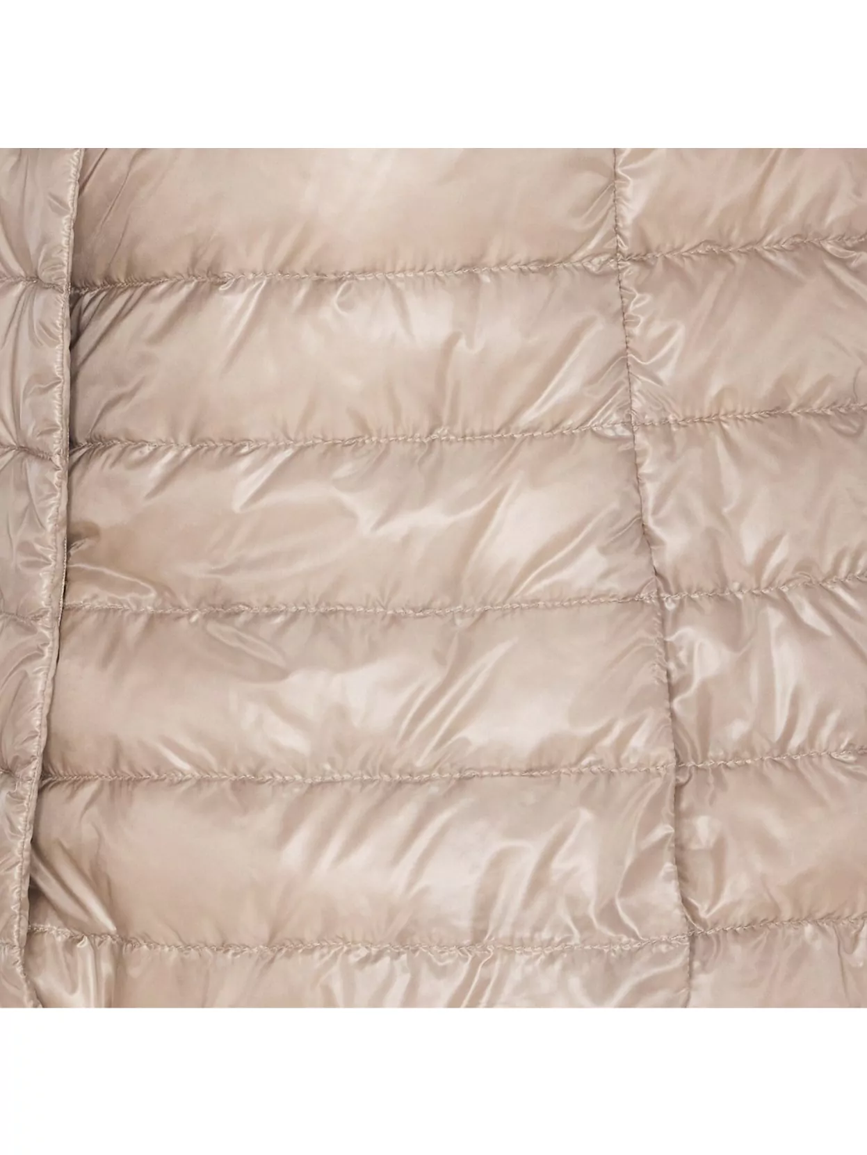 Shop Herno Crewneck High Collar Quilted Jacket