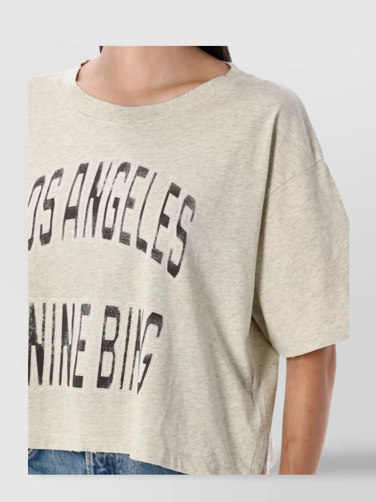 Anine Bing Graphic Print Cropped T-Shirt With Short Sleeves