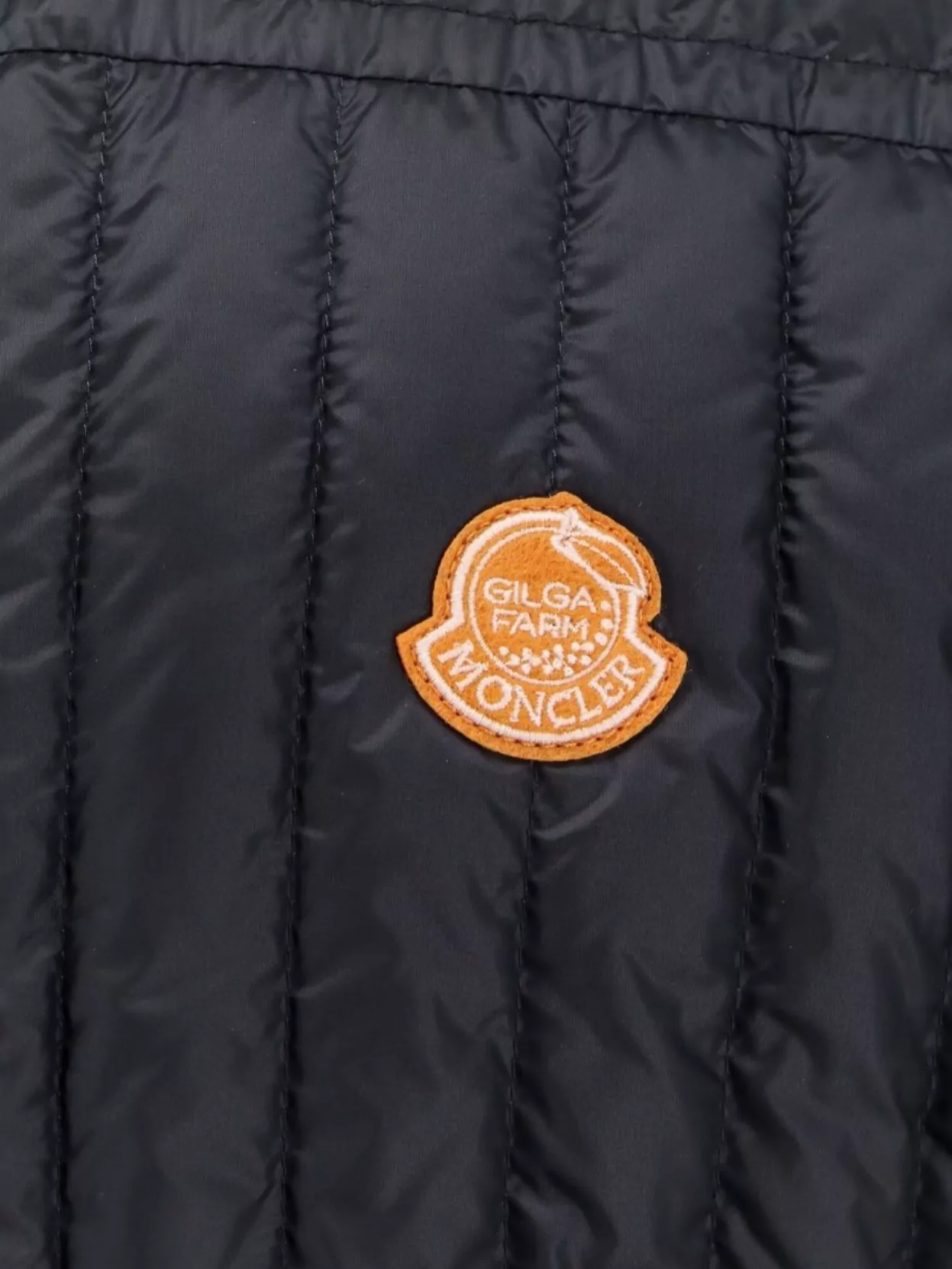 Moncler Genius Tangerine Gilga Farm Designed Sleeveless Jacket