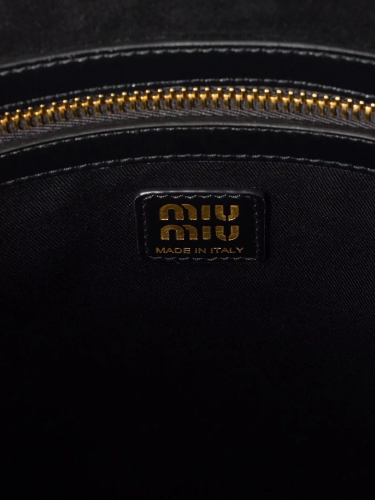 Miu Miu Versatile Tote Bag Dual Handles