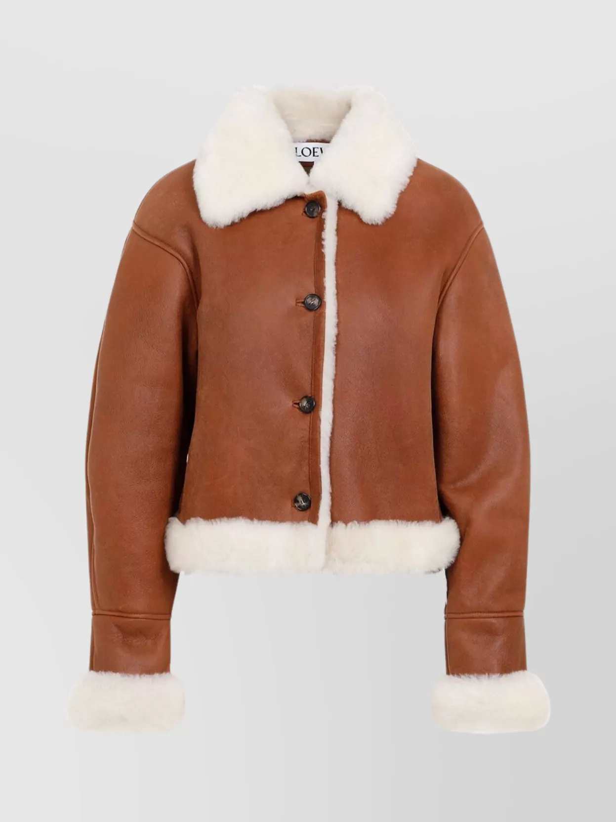 Loewe Shearling Jacket In Metallic