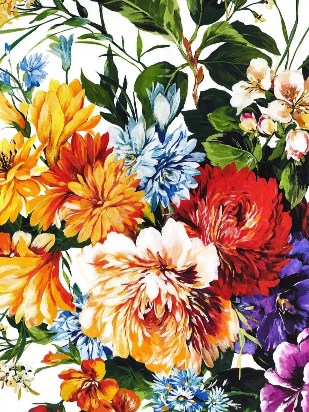 Dolce&Gabbana Square Shape Floral Print Scarf With Bold Border
