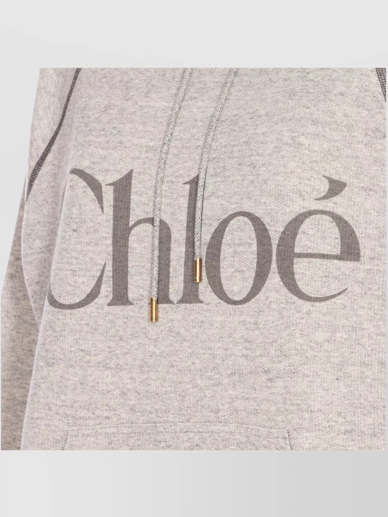 Chloé Hooded Cotton Blend Sweatshirt With Kangaroo Pocket In Gray