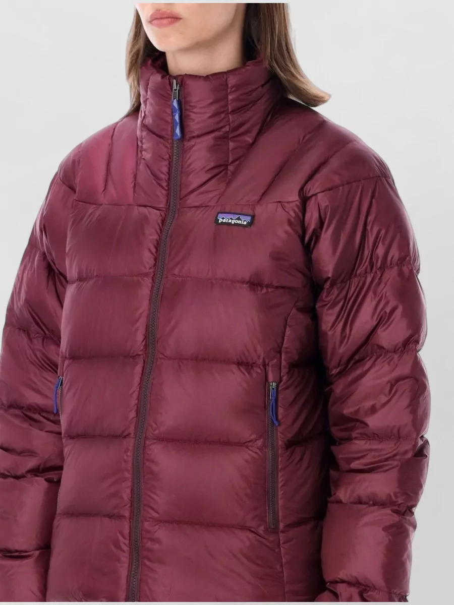 Patagonia Down Puffer Jacket
