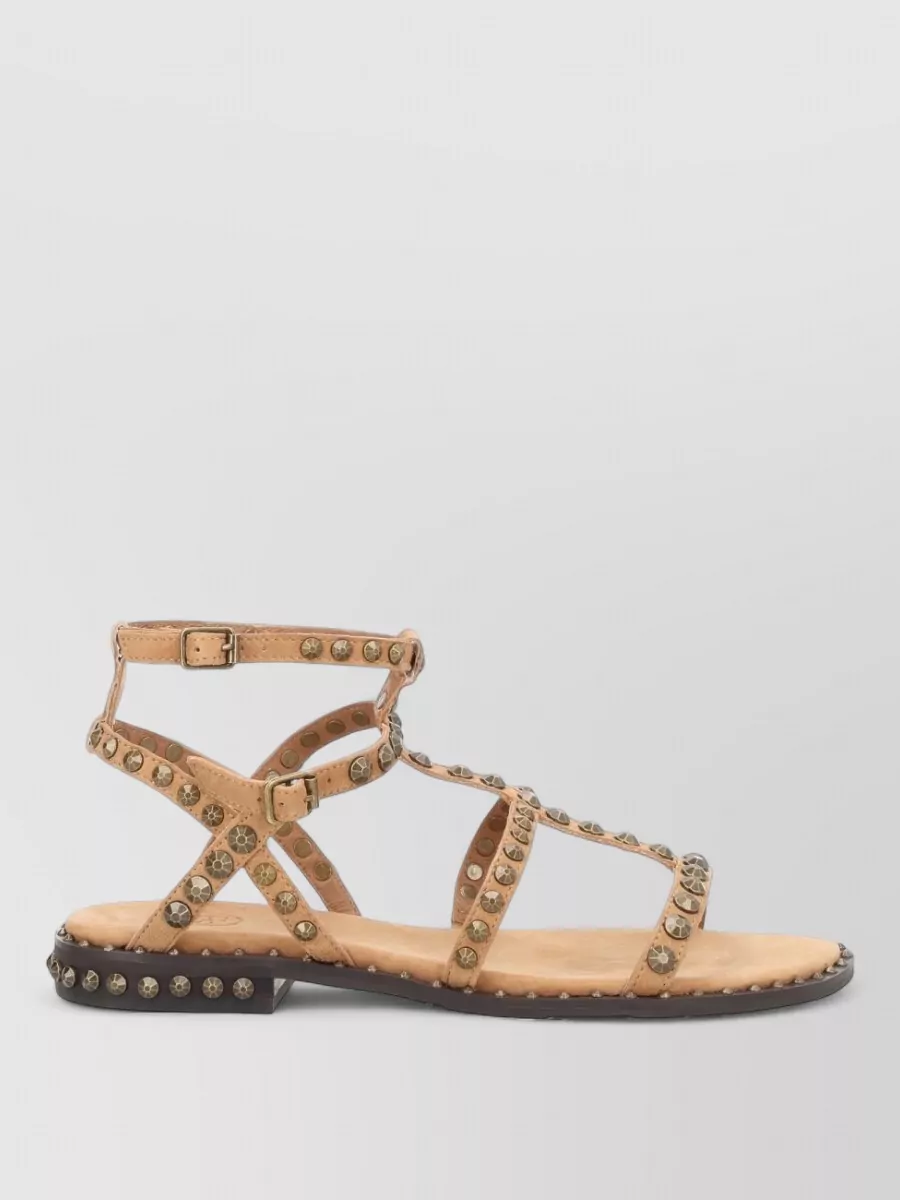 Ash leather sandals