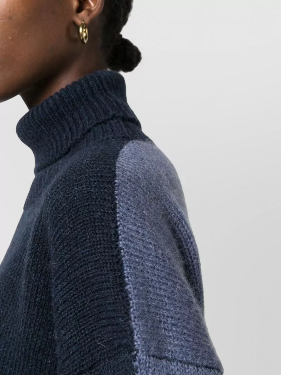 Alysi Two-Tone Turtleneck Jumper