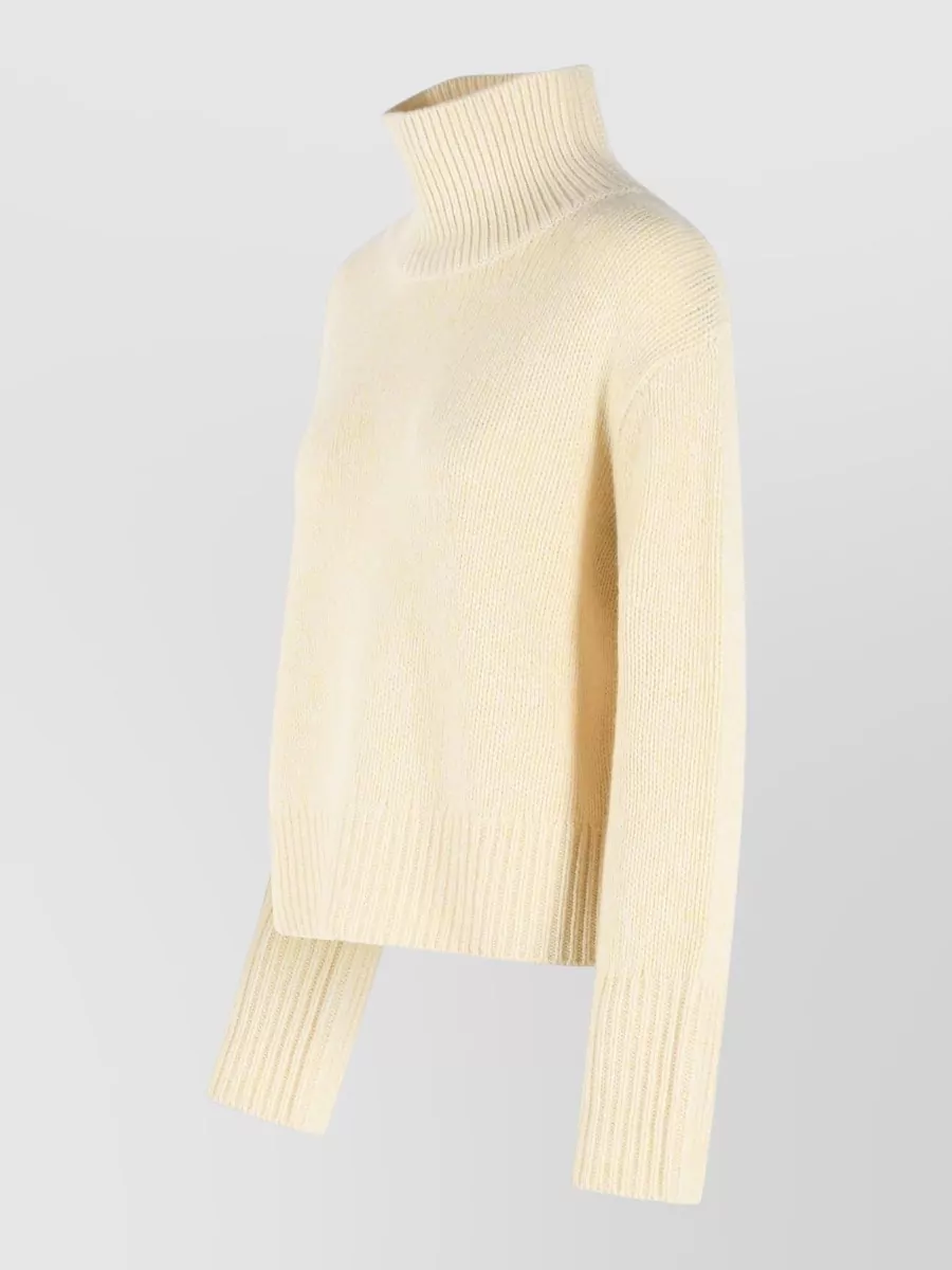 Lisa Yang Cashmere Turtleneck Sweater