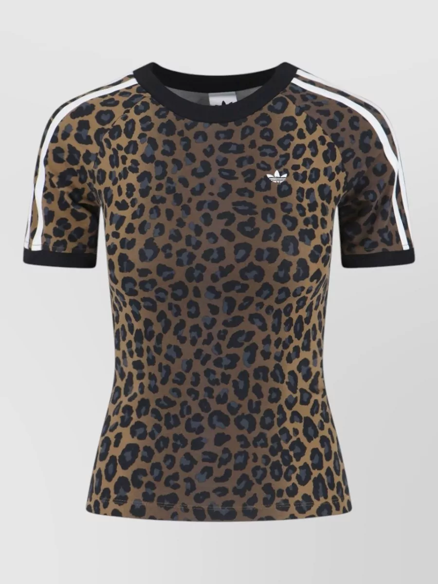 Adidas Short-sleeve t-shirt