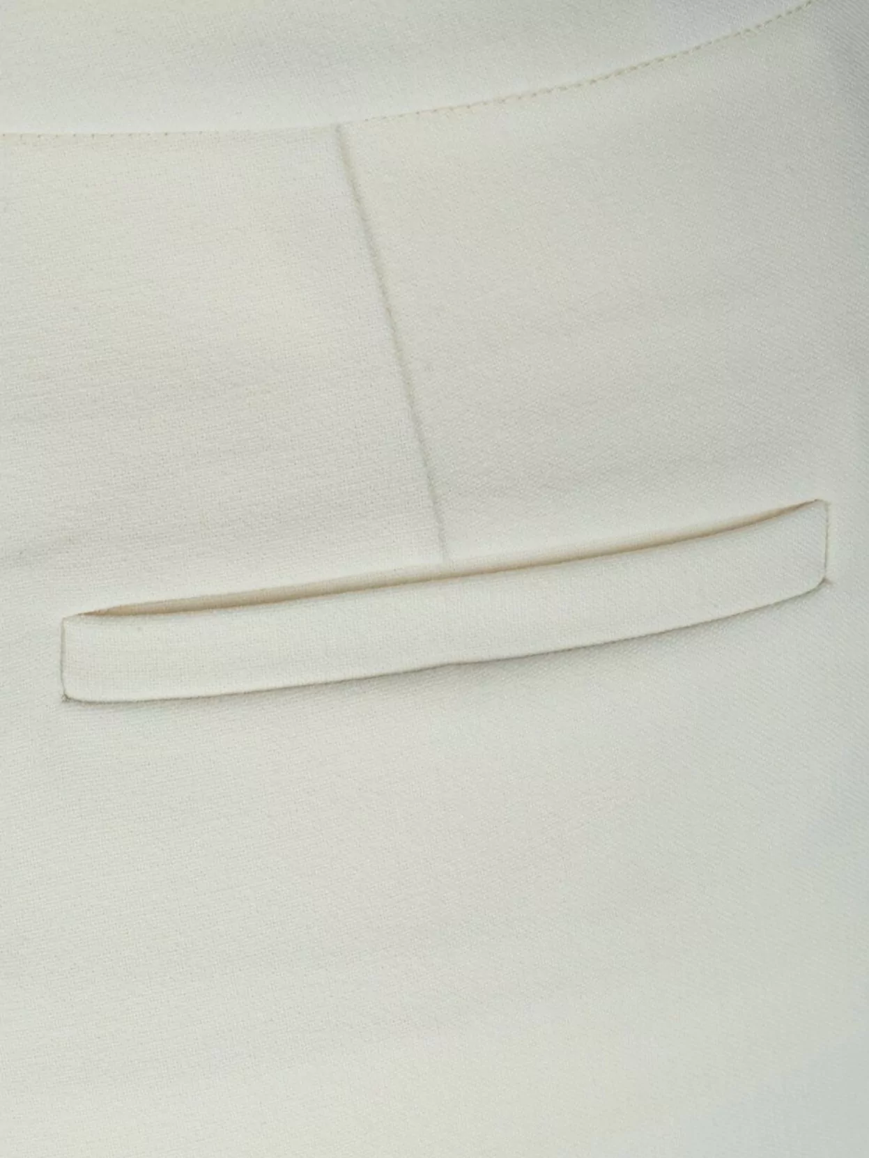 Fabiana Filippi Trousers With Front Pleats And Back Pockets