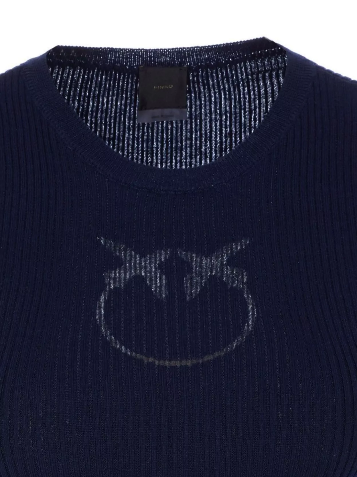 Pinko Crewneck Embroidered Tritone Ribbed Short Sleeves Sweater In Blue