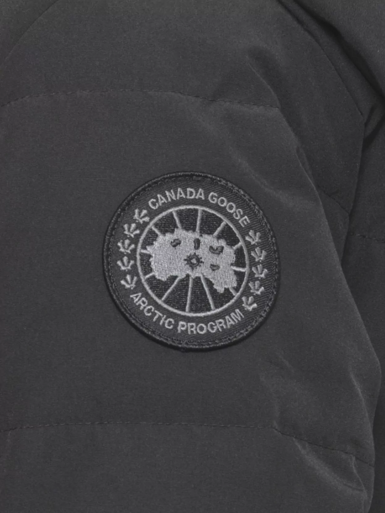 Canada Goose Padded Parka Removable Hood In Black
