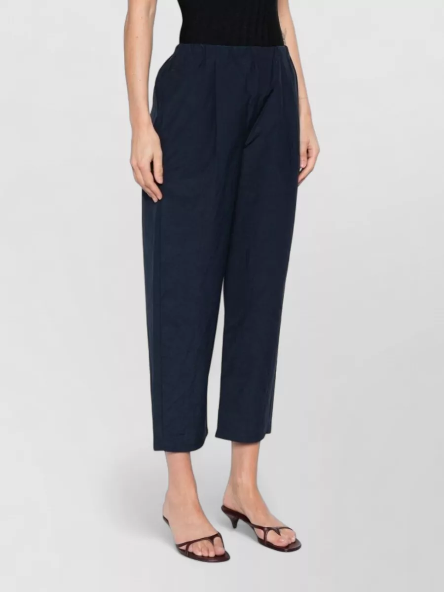 Apuntob Cropped Pleated Trousers