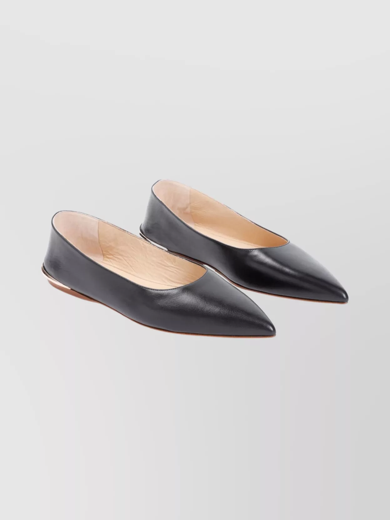 Gabriela Hearst Pointed Toe Ballerina Shoes With Metallic Accent In Black