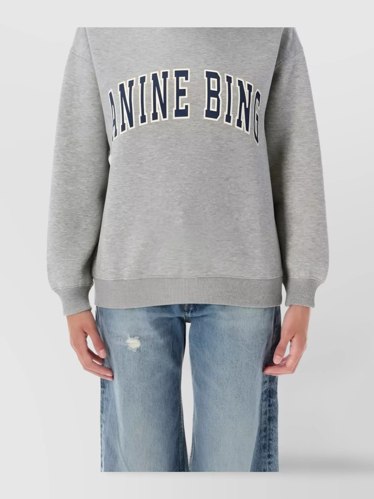 Anine Bing Spencer Printed Cotton-blend Jersey Sweatshirt In Gray