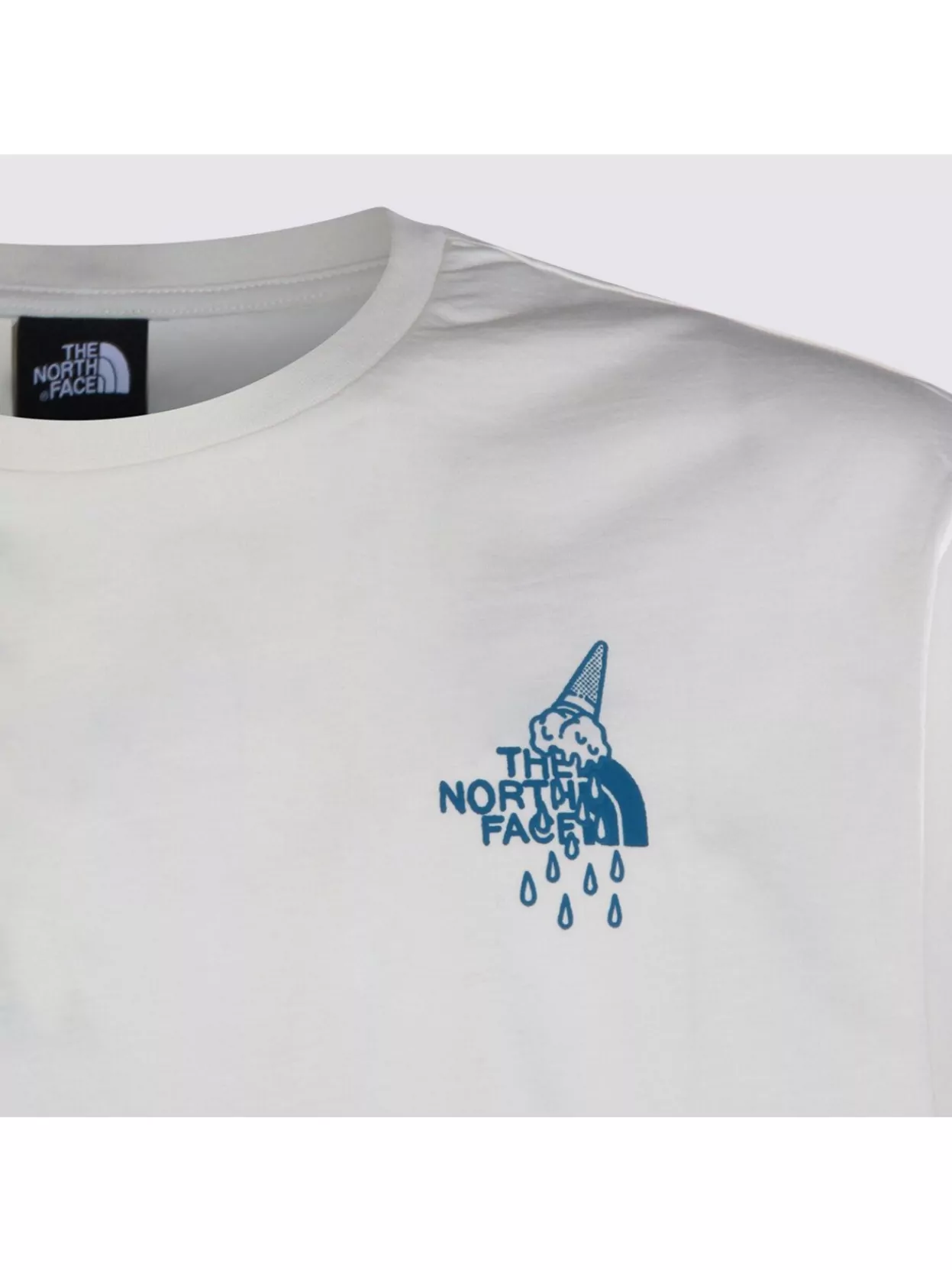 The North Face Graphic Print Crew Neck Short Sleeve Top