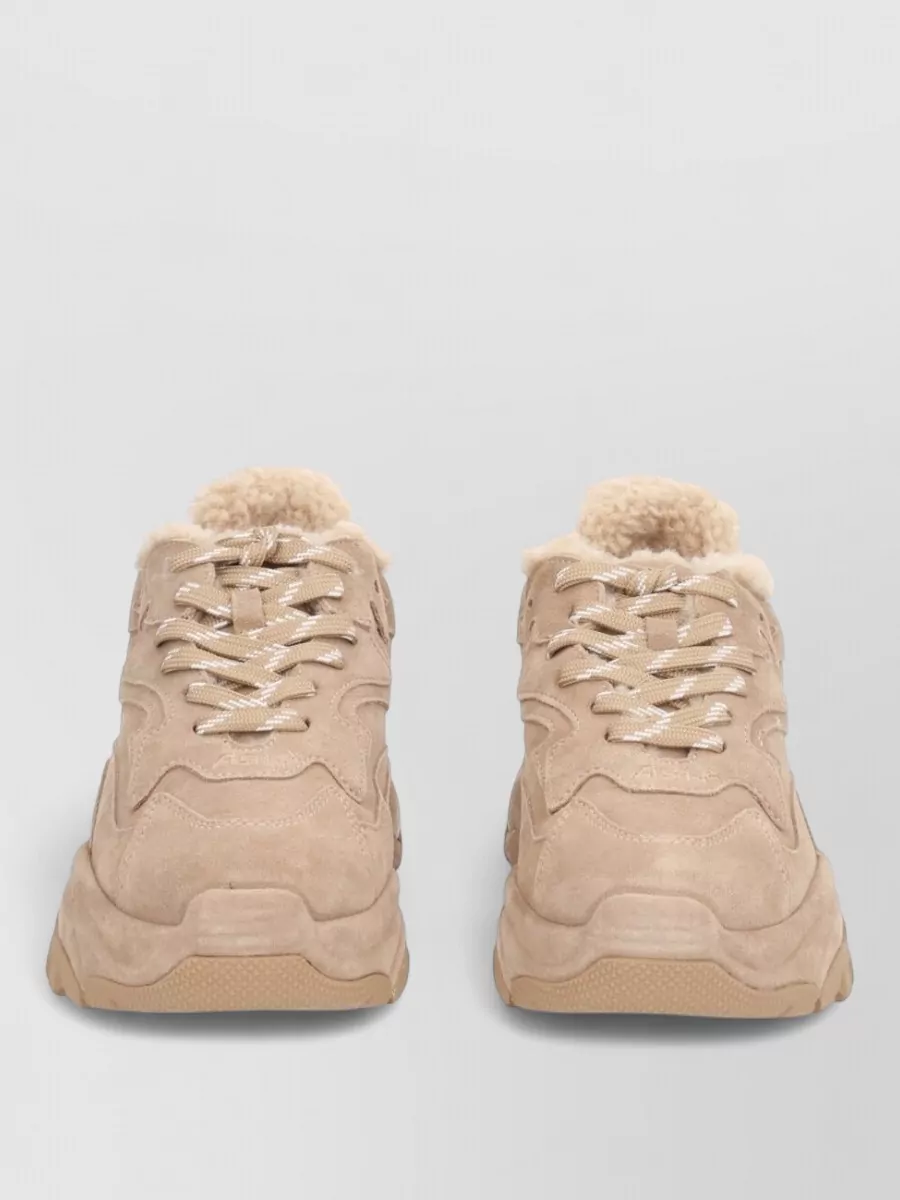 Ash leather low-top sneakers