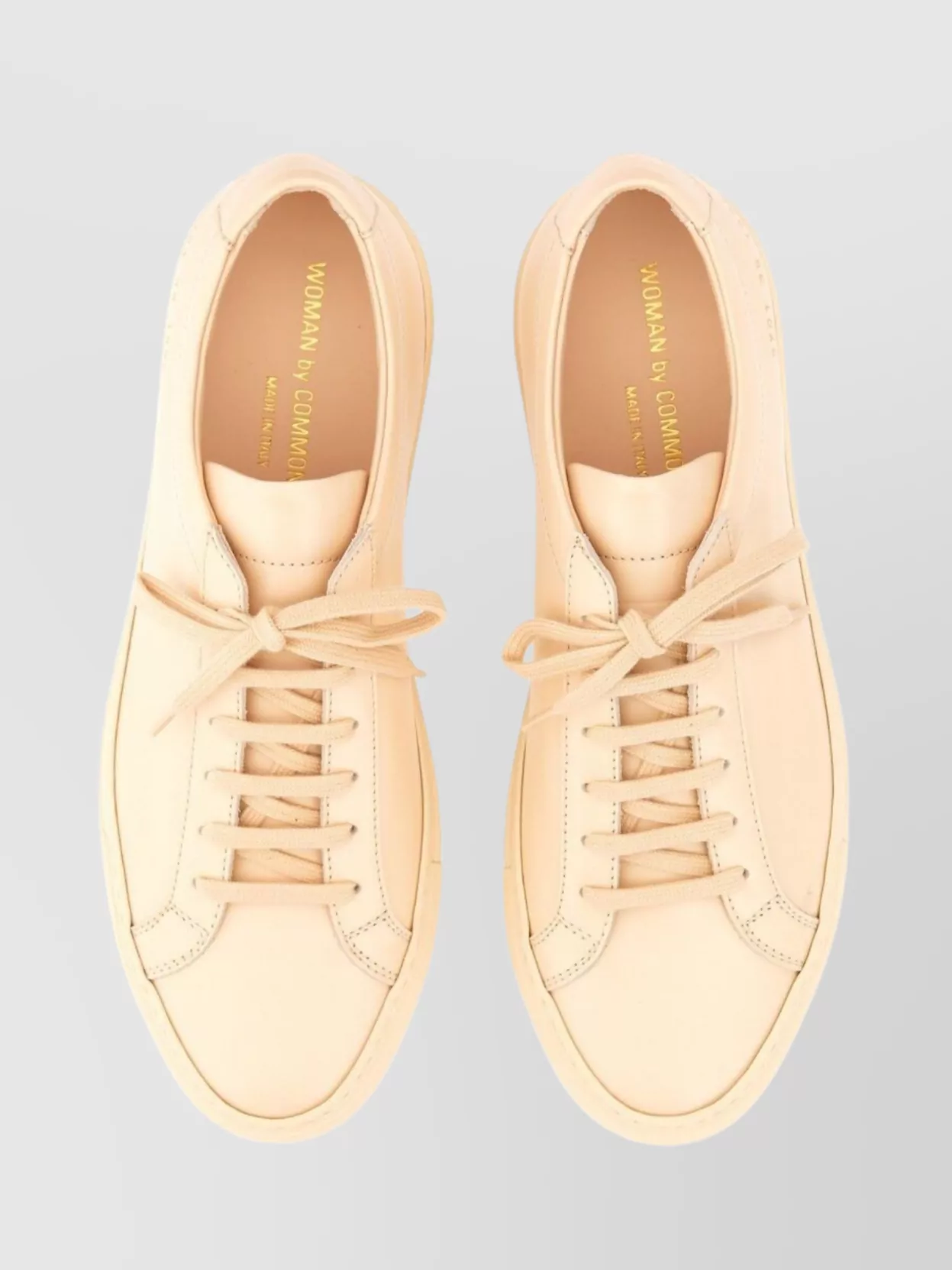 Common Projects Original Low-top Sneaker Achilles