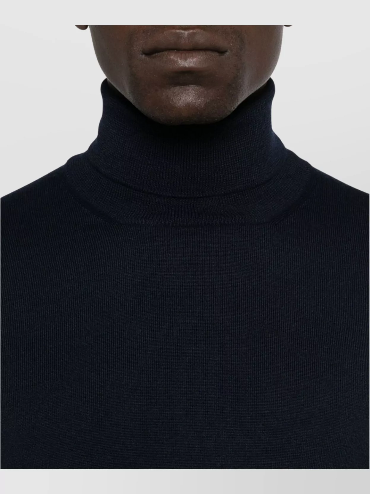Tagliatore Turtleneck Long Sleeve Knit Jumper