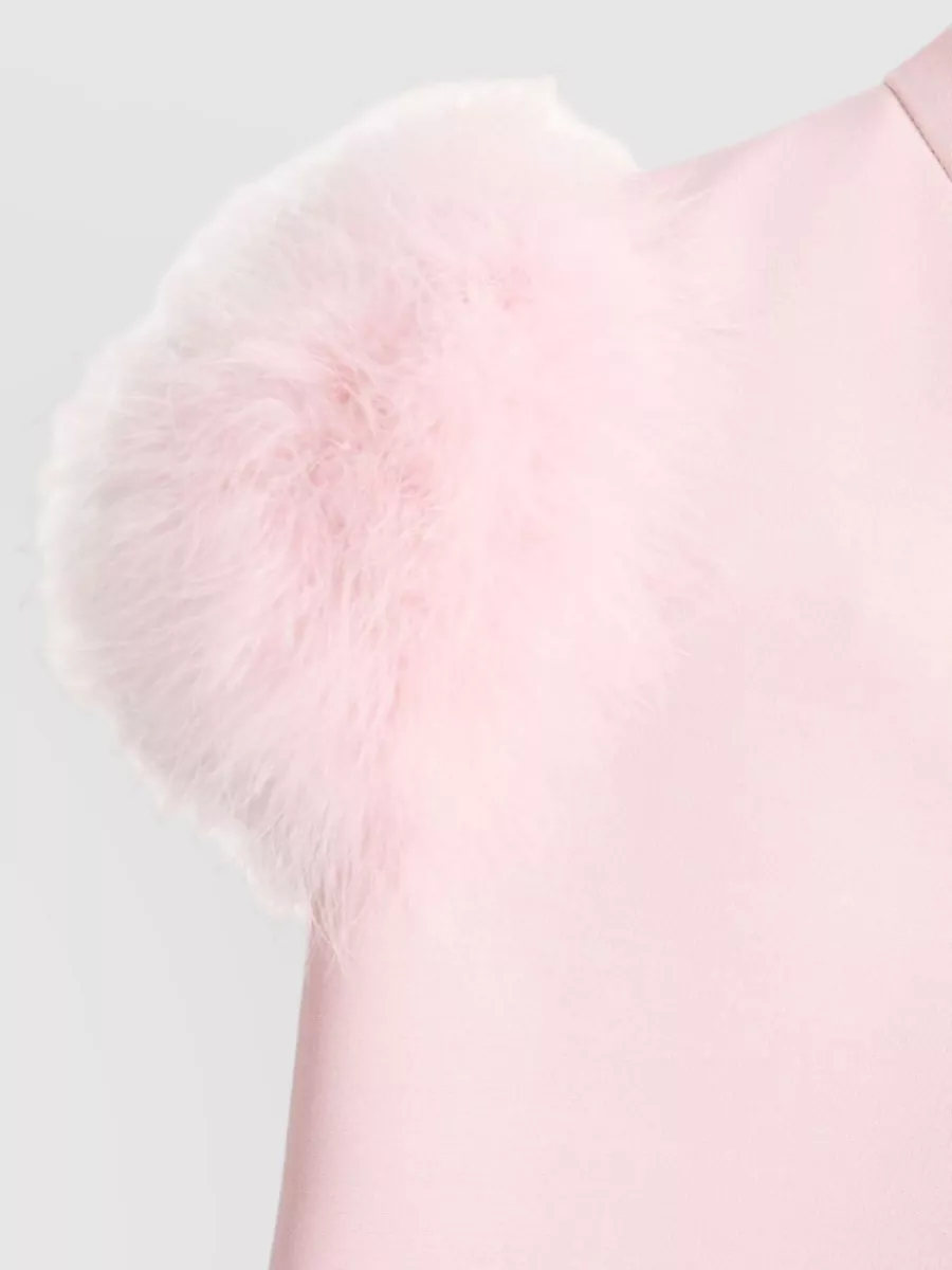 Valentino High Neck Mini Dress With Feather Boa
