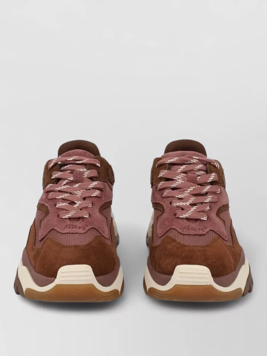 Ash suede leather low-top sneakers