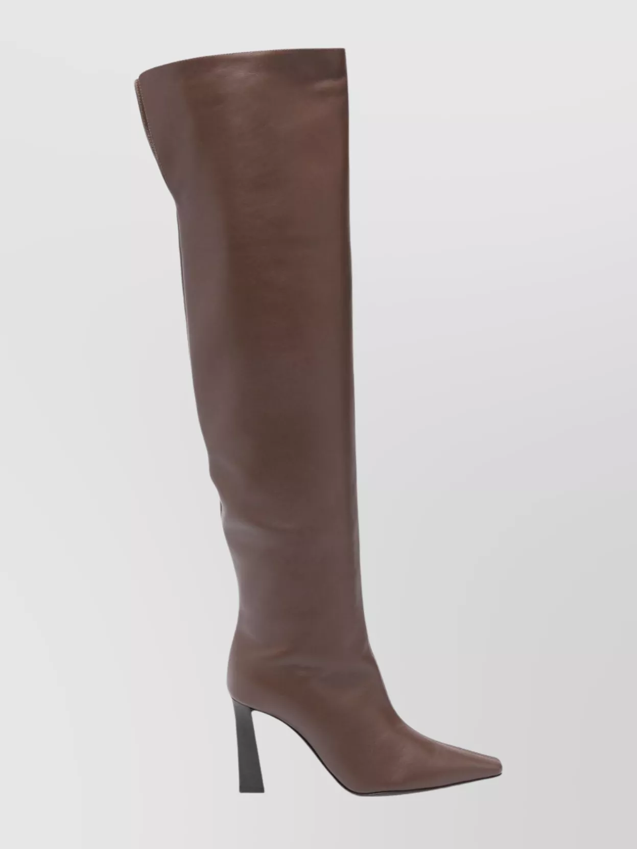 Giuseppe Zanotti Over-The-Knee Leather Pointed Toe Boots
