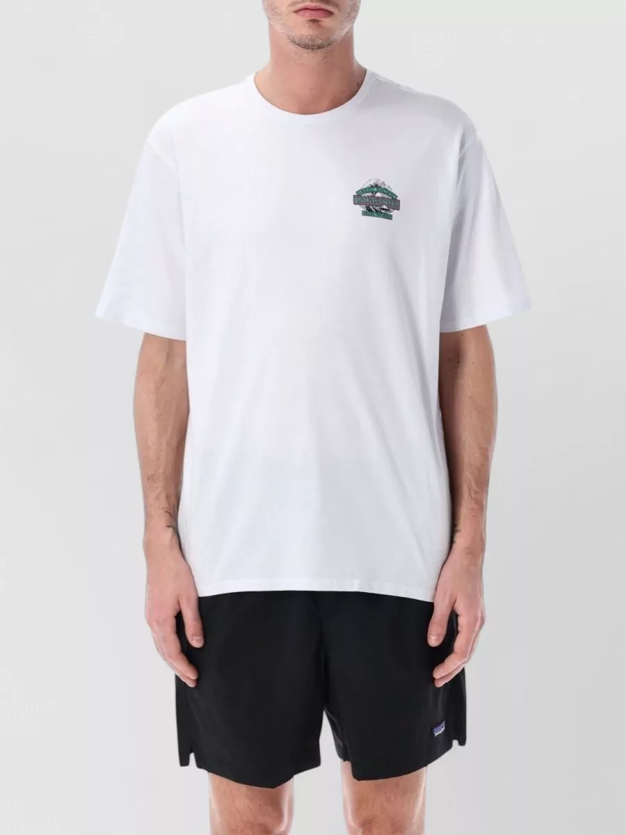 Patagonia Graphic Jersey Crewneck T-Shirt