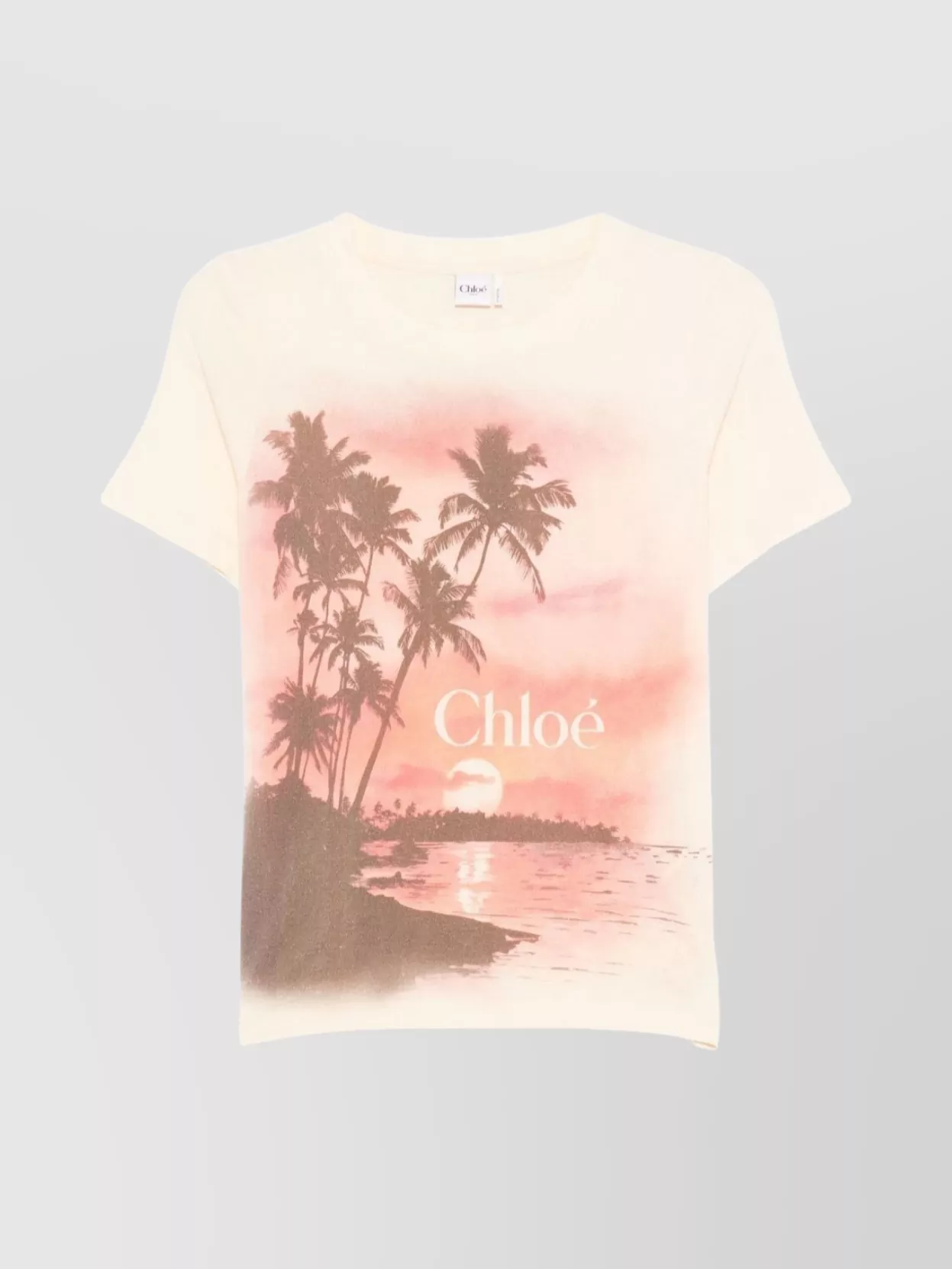 Chloé Graphic Illustration Crew Neck T-shirt In Neutral
