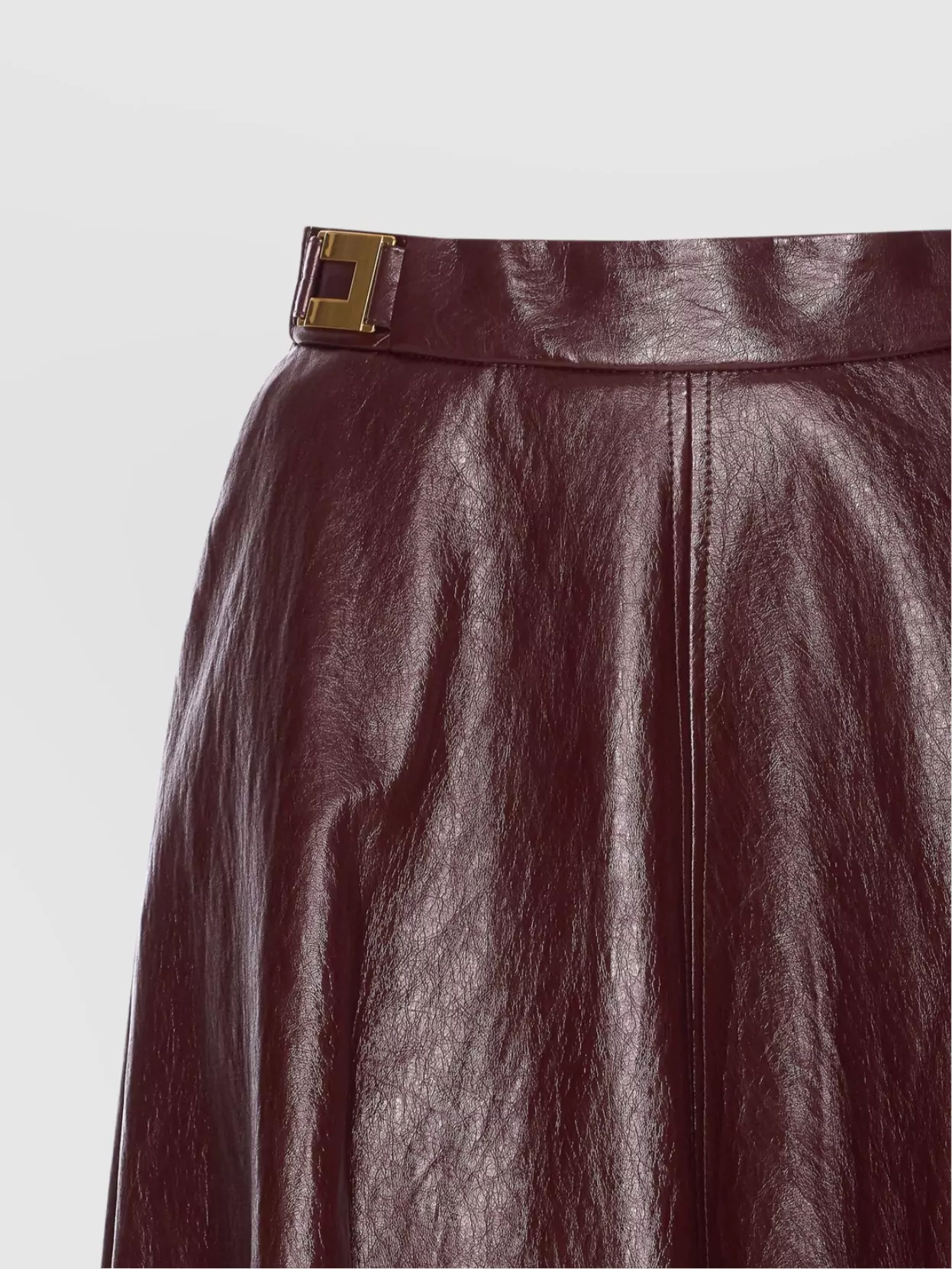 Elisabetta Franchi A-line Silhouette Skirt With Metallic Buckle Detail In Burgundy