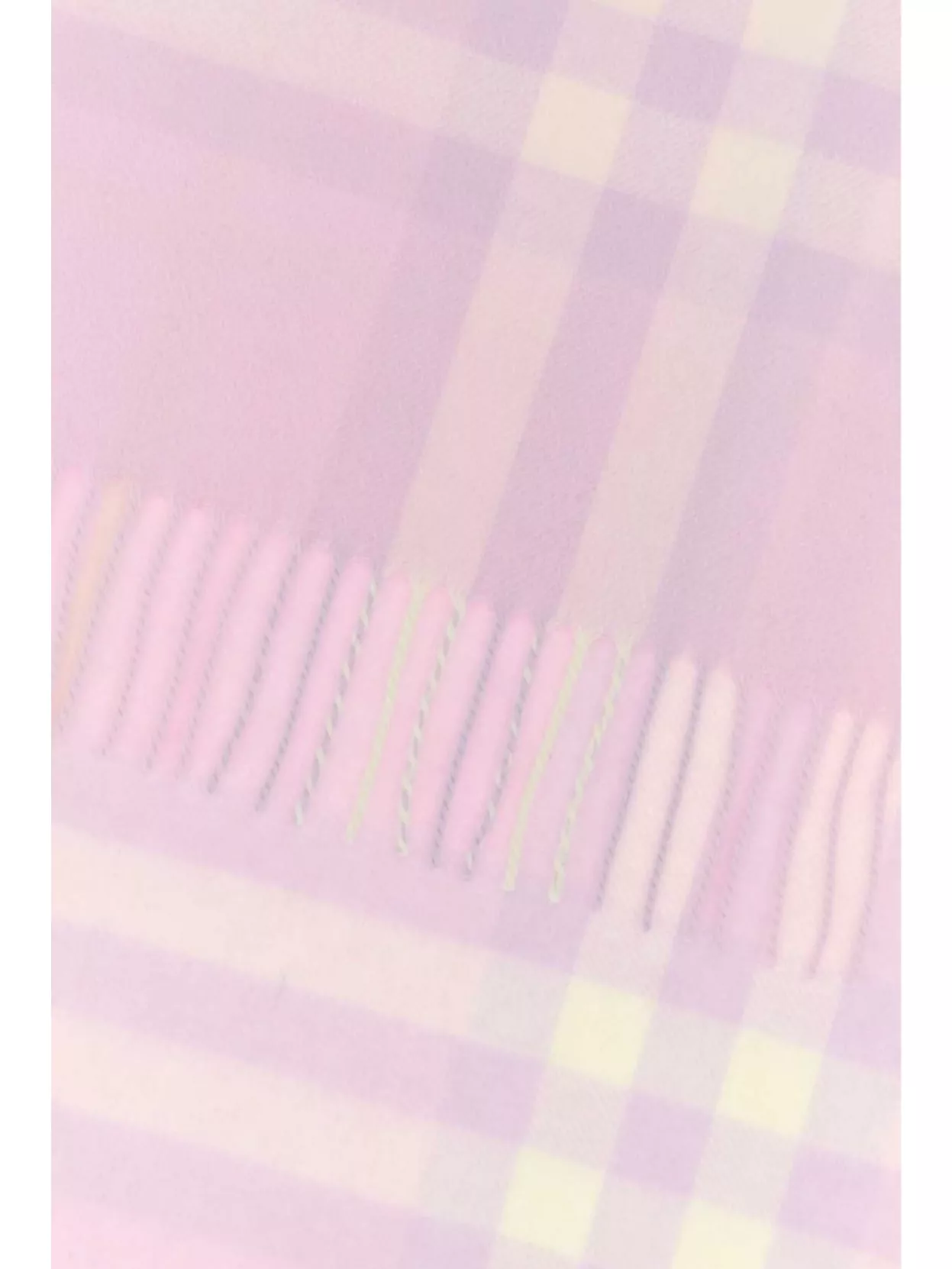 Burberry Cashmere Scarf With Fringed Ends And Embroidery In Pink