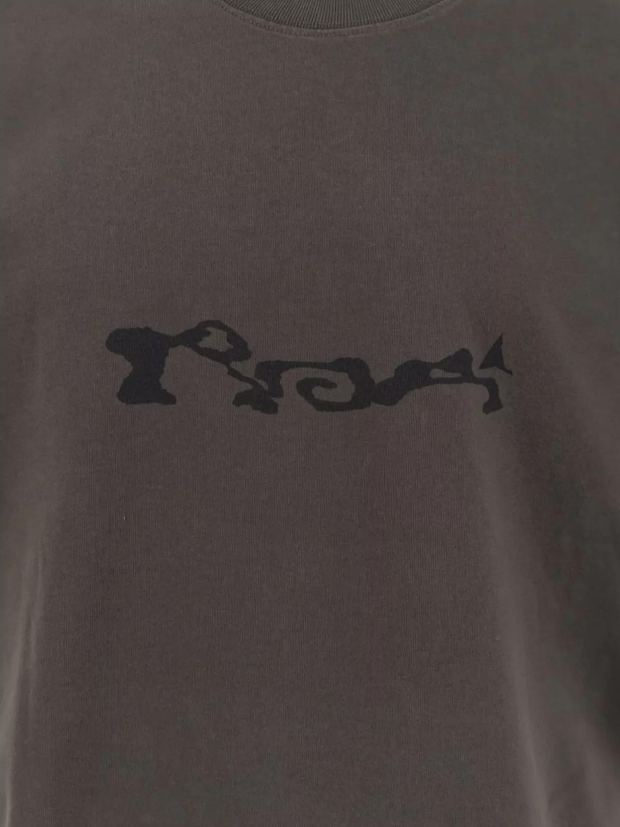 Roa Crew-Neck Organic Cotton T-Shirt